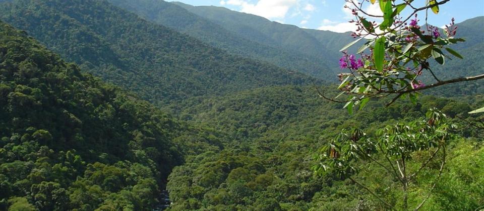 Stay In Itatiaia 伊塔蒂亚亚 外观 照片